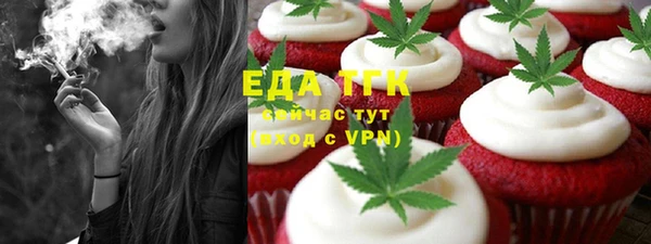 индика Волосово