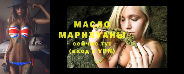 индика Волосово