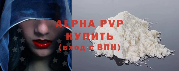 индика Волосово