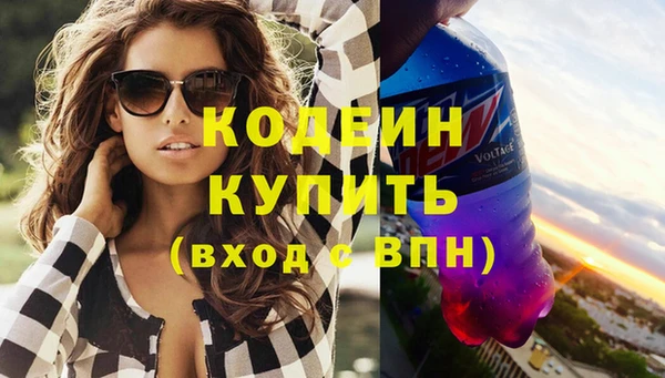 индика Волосово