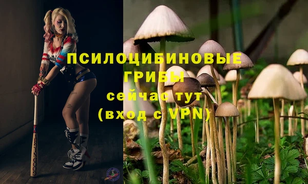 индика Волосово